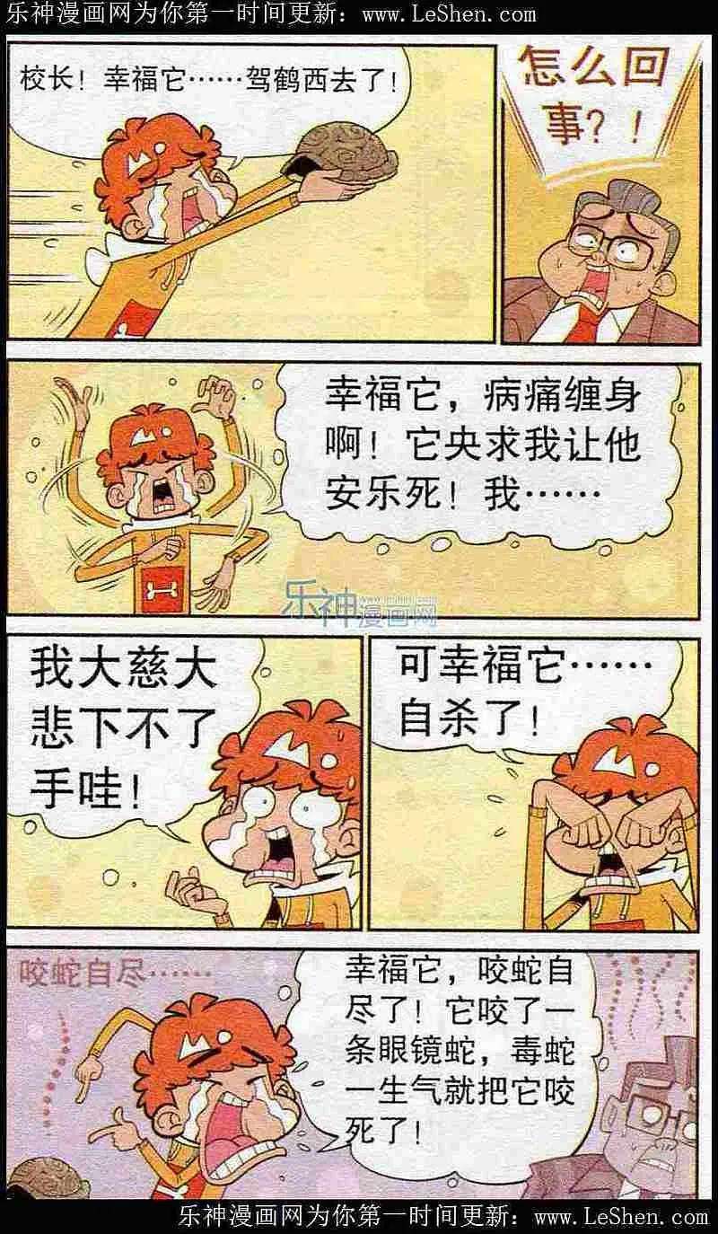 15.jpg