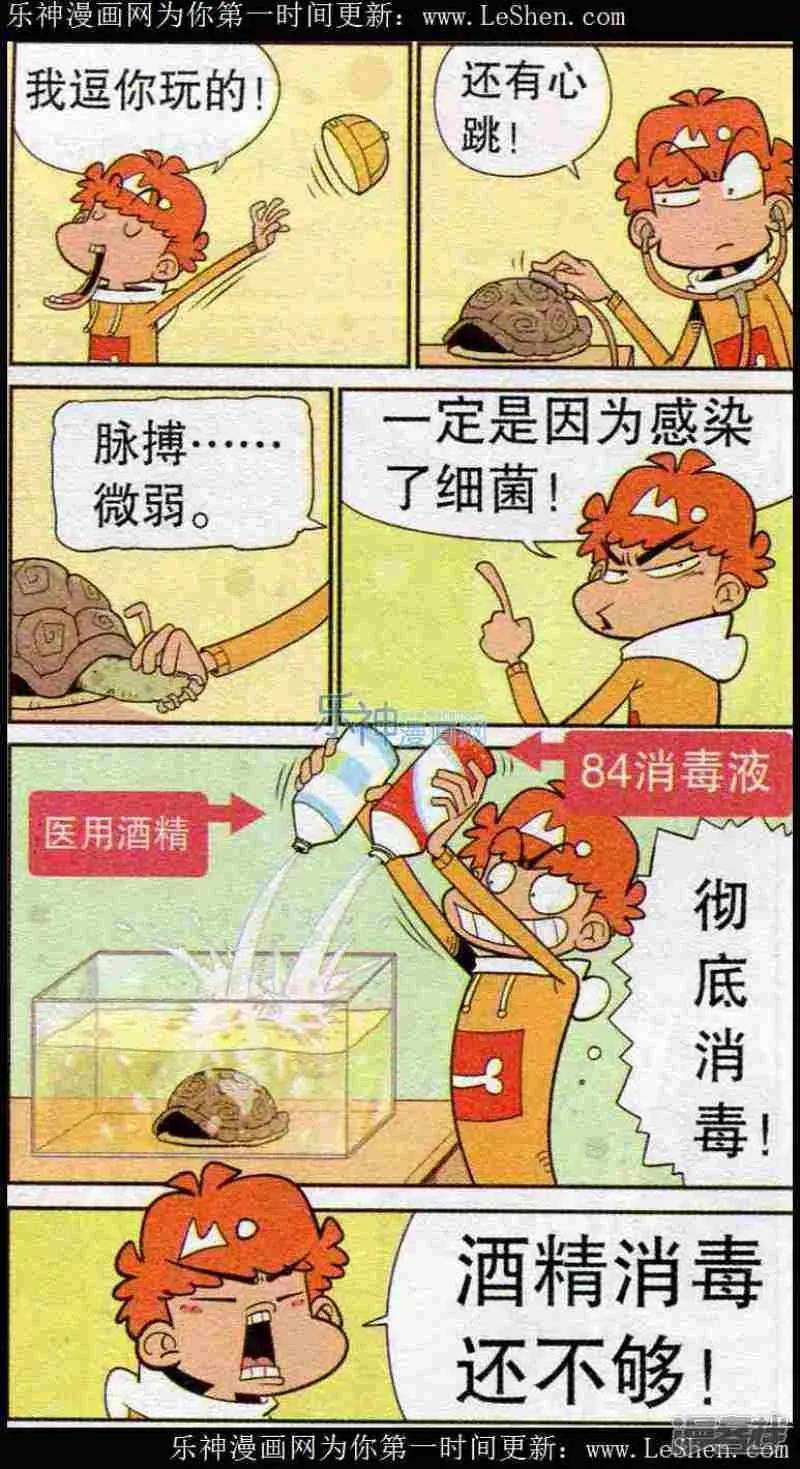 13.jpg