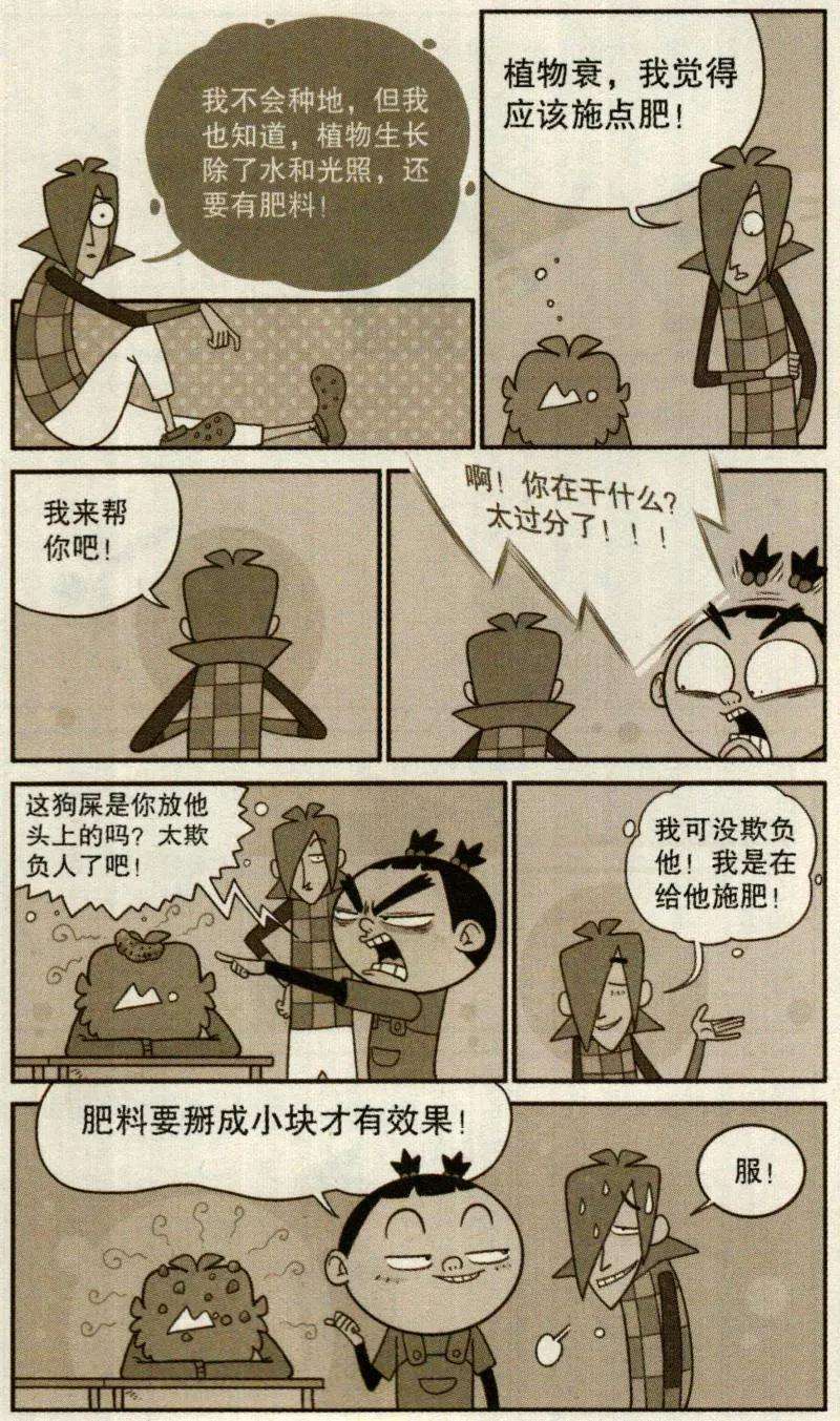 12.jpg