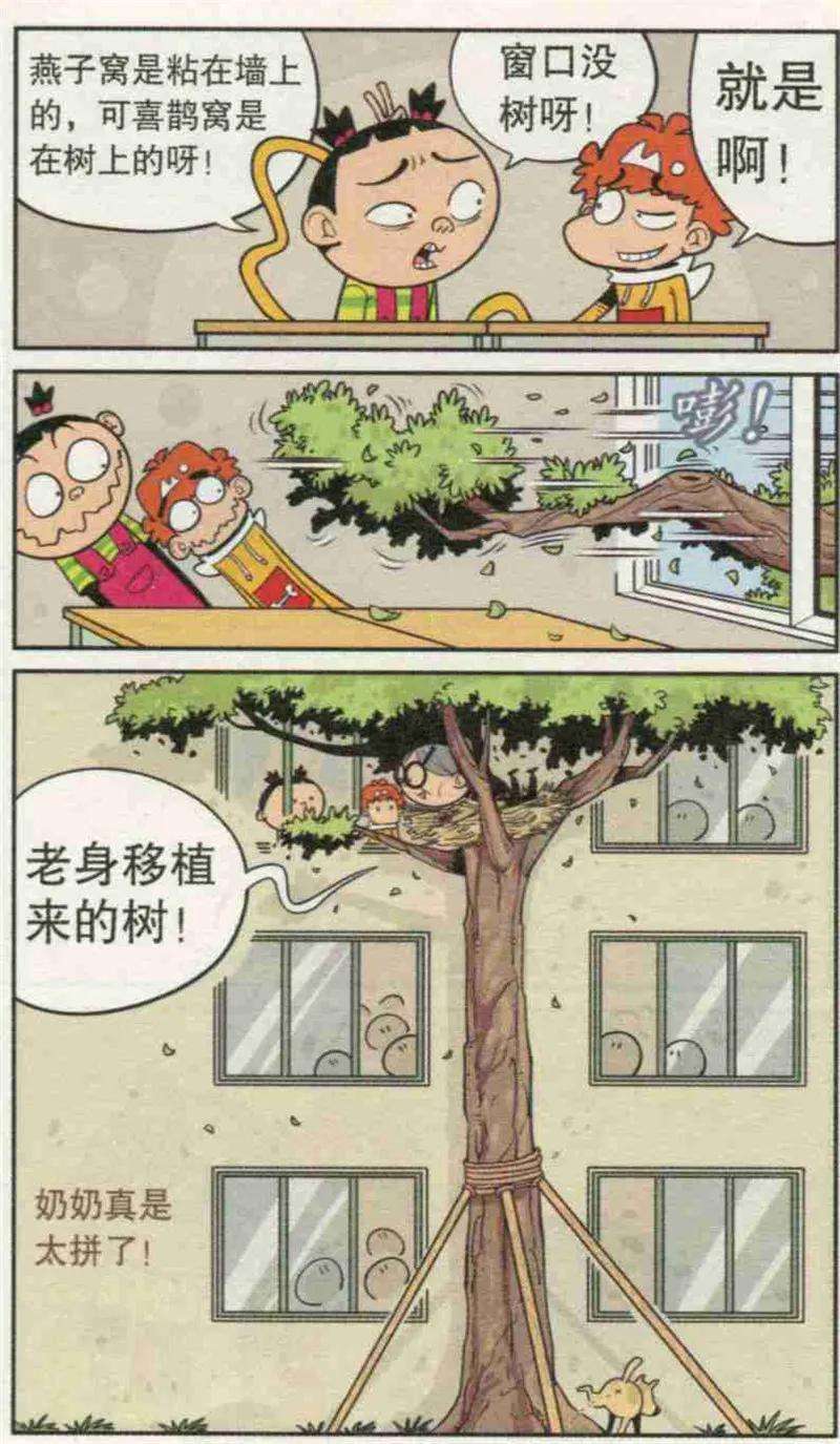 17.jpg