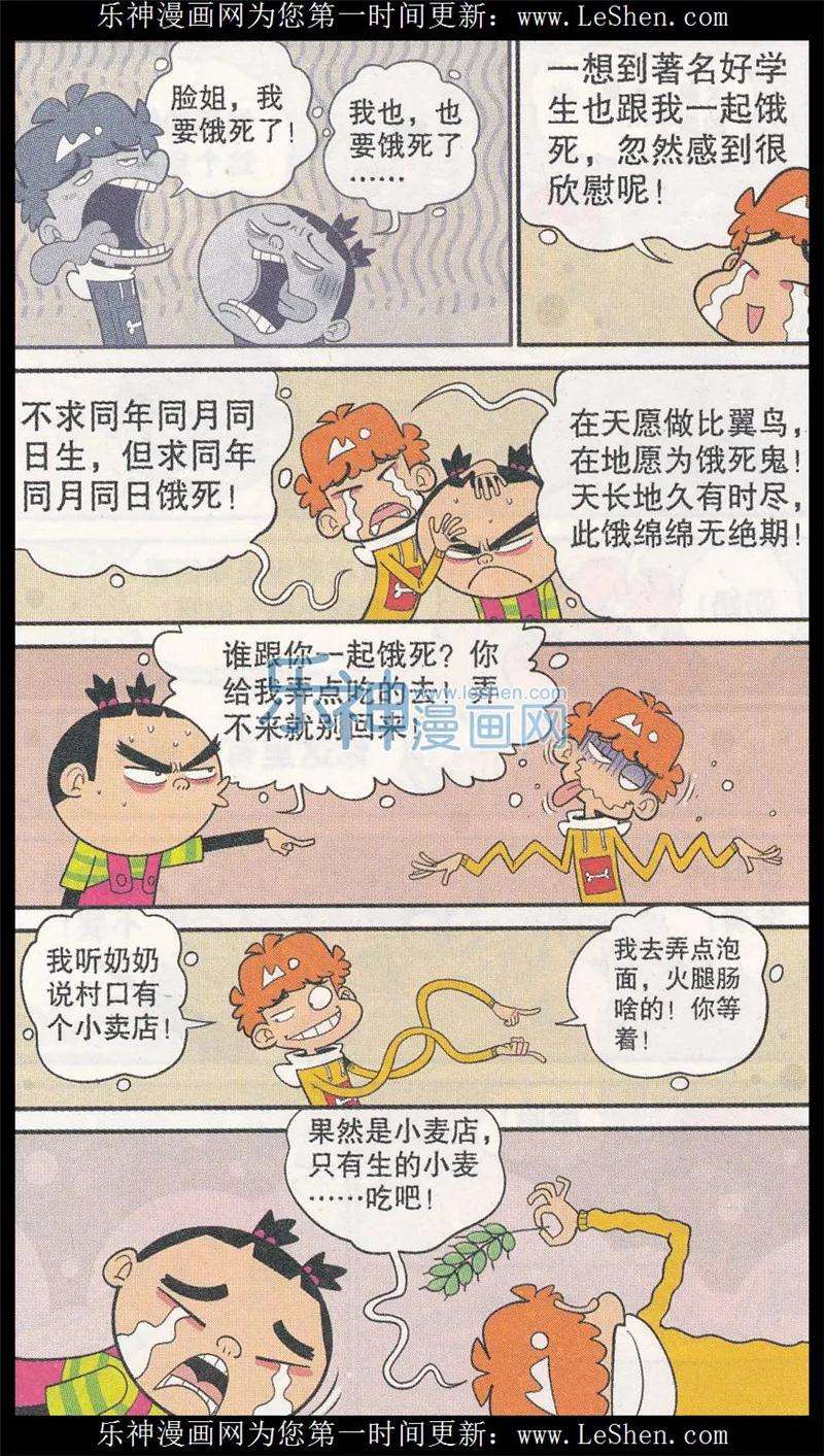 5.jpg