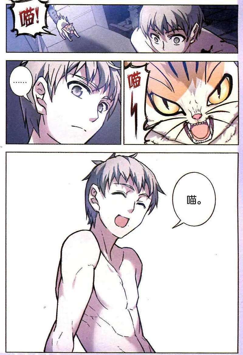 4.jpg