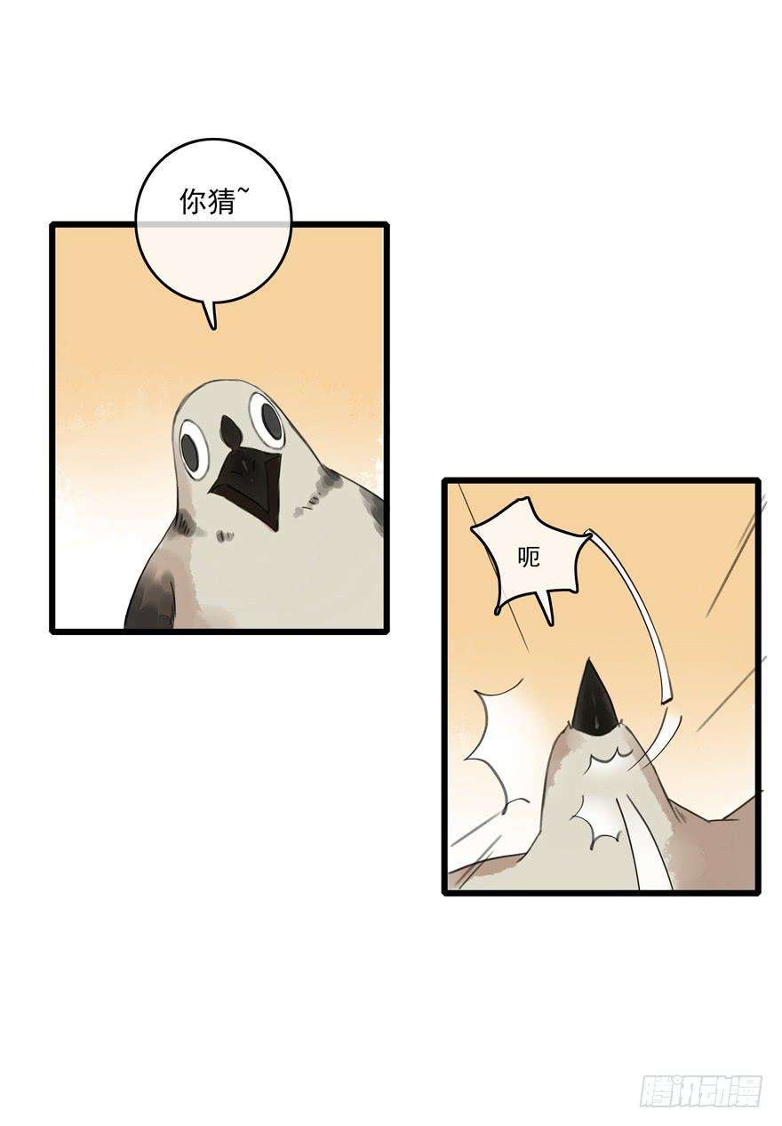 33.jpg