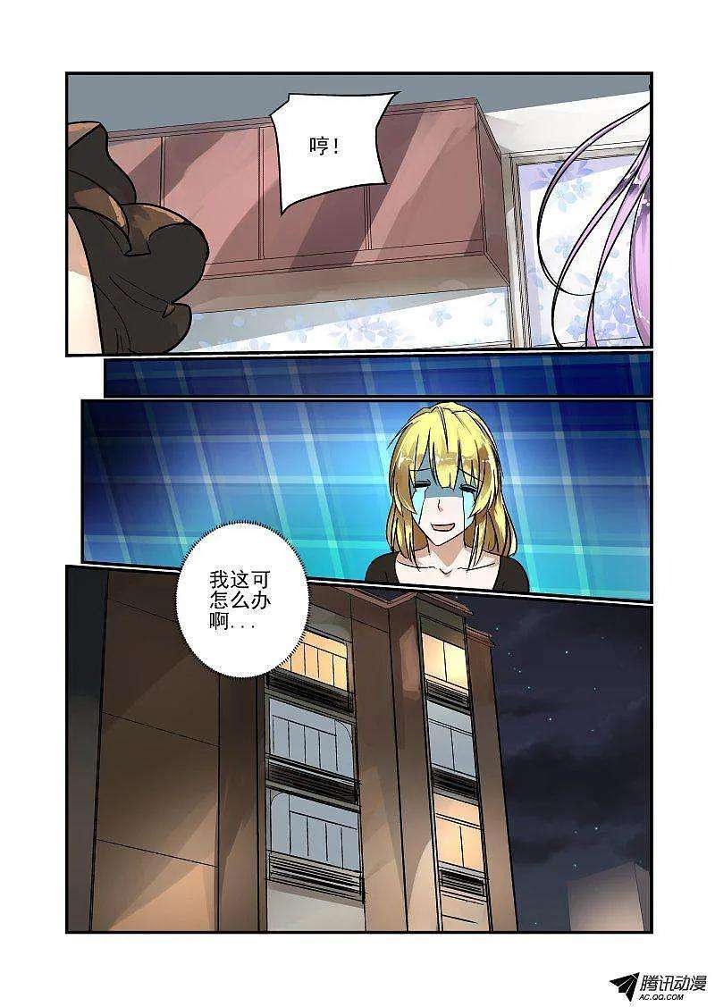 5.jpg