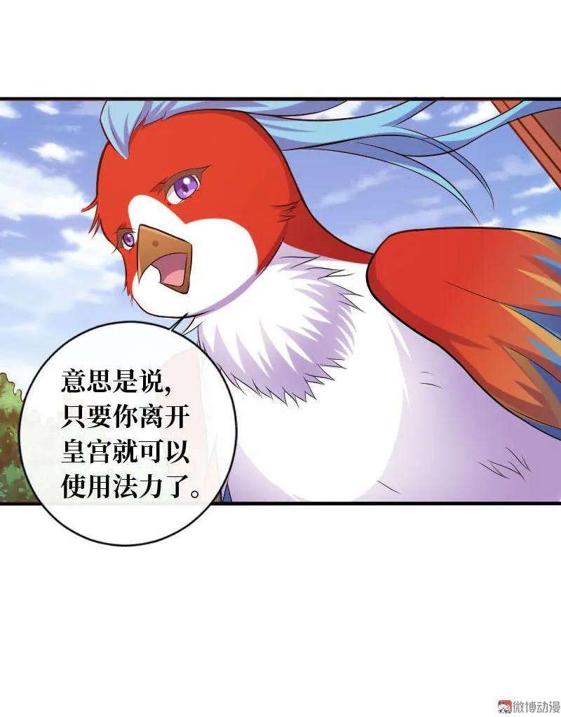 35.jpg