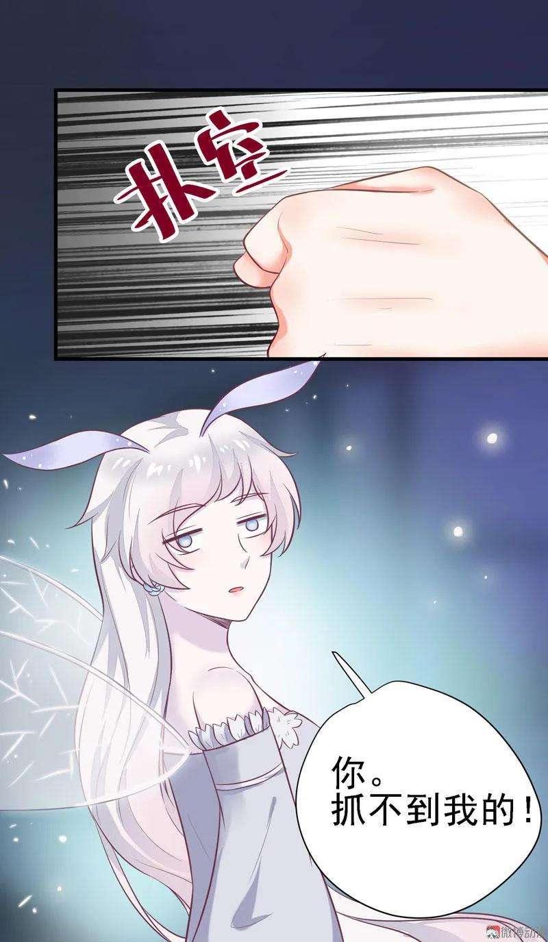 26.jpg