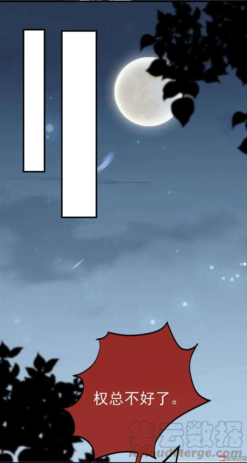 29.jpg