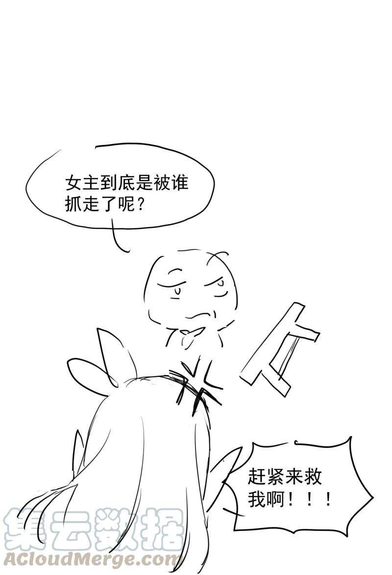 41.jpg