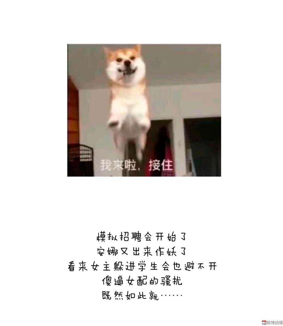88.jpg