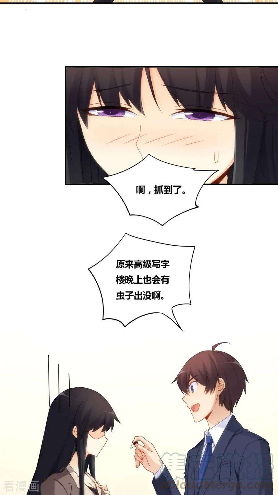 17.jpg