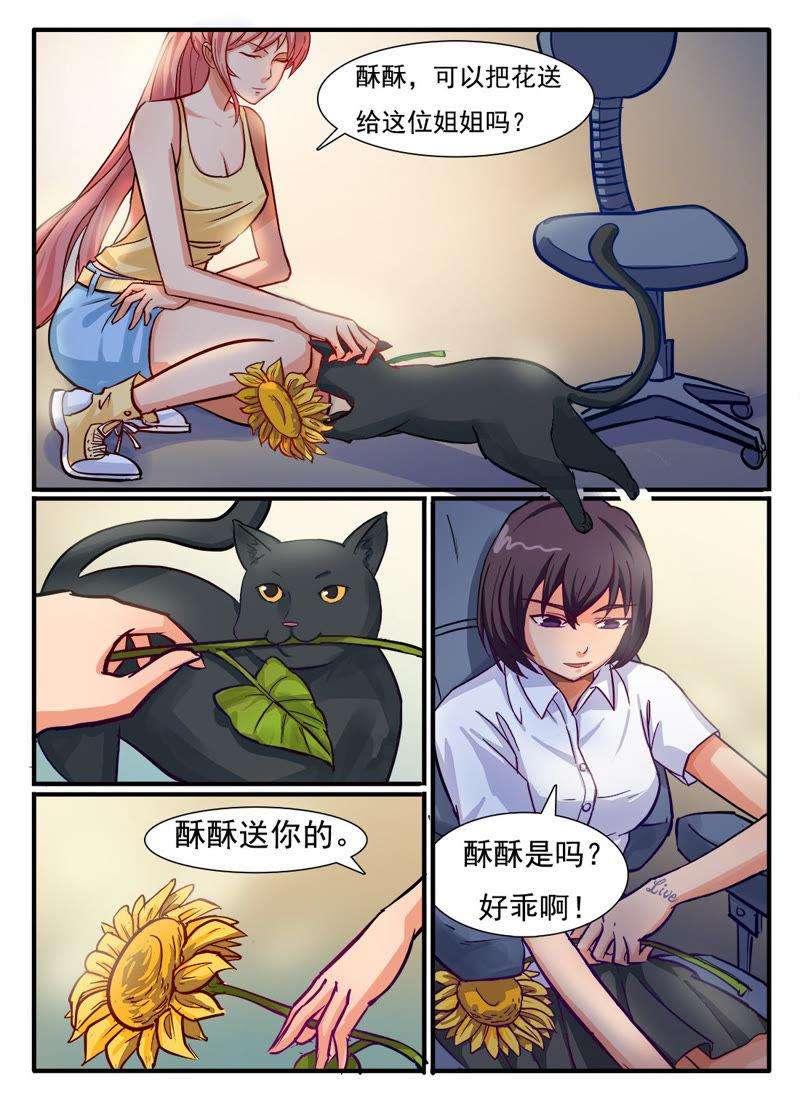 5.jpg