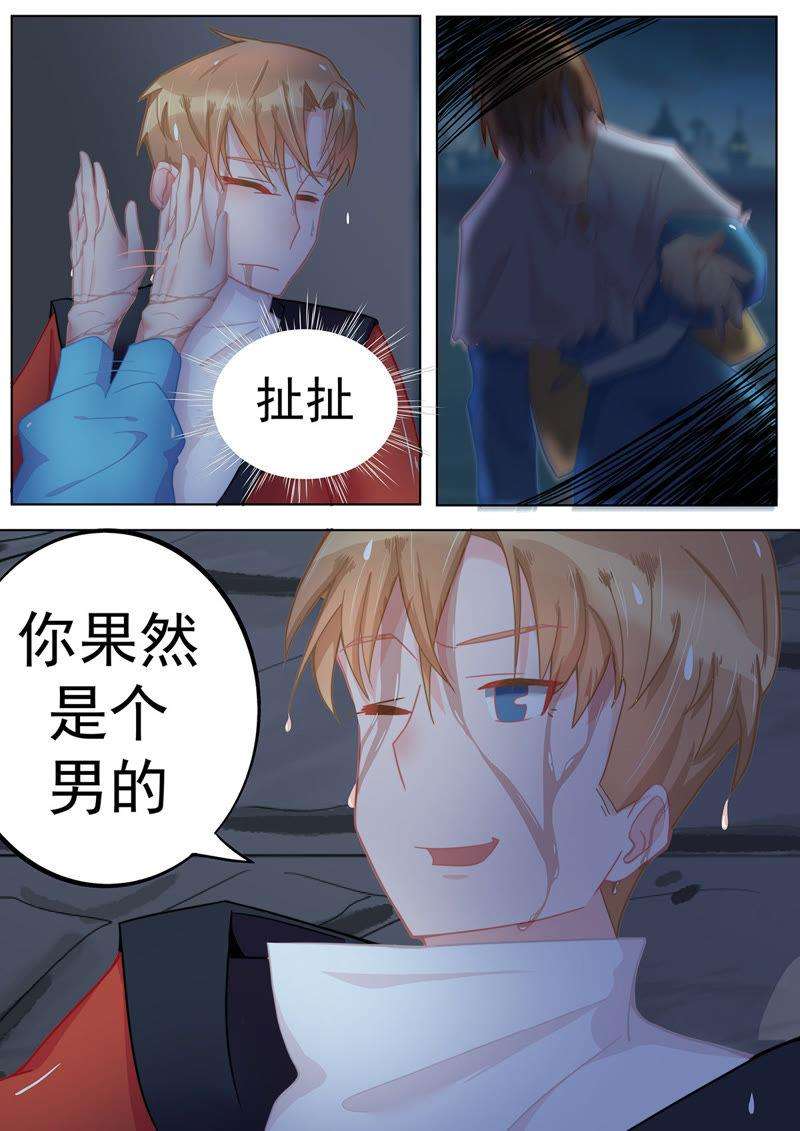 5.jpg