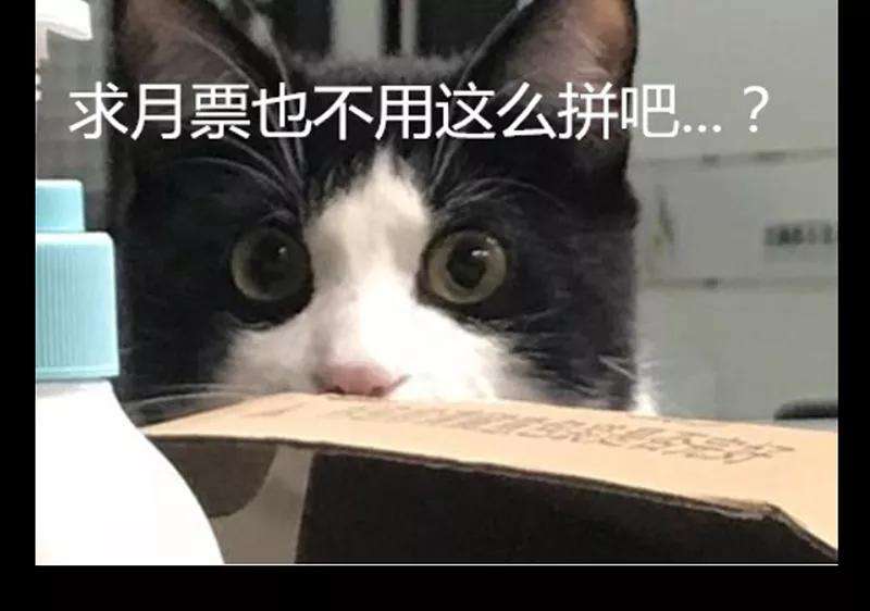 48.jpg
