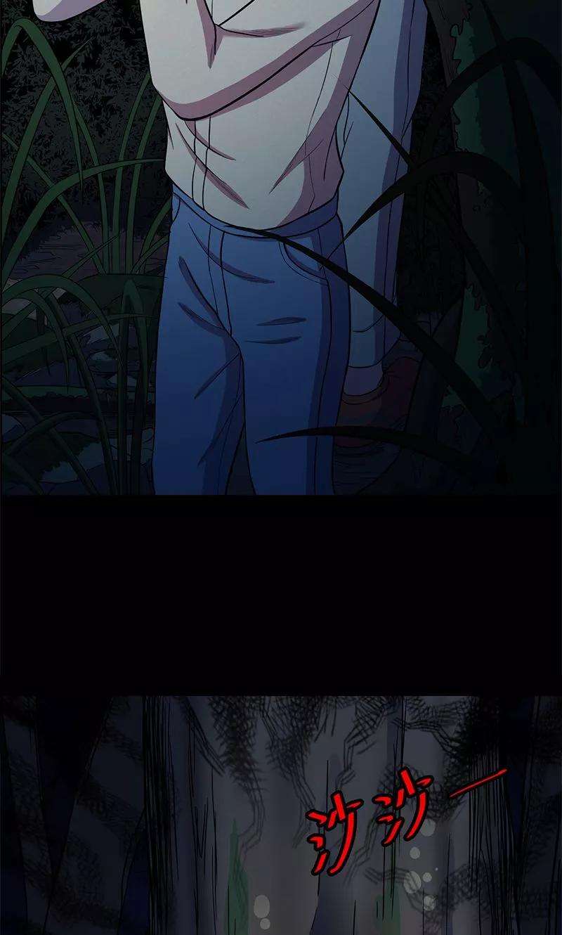52.jpg