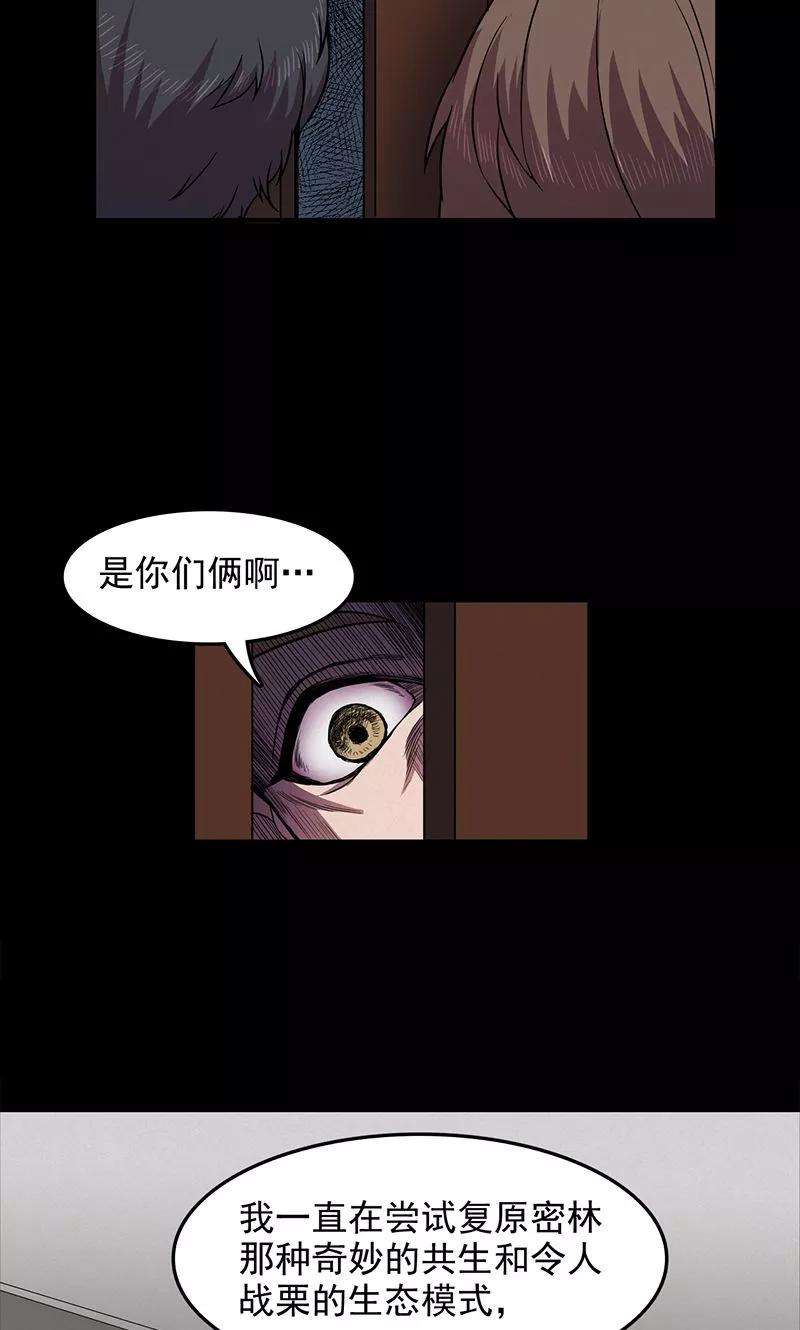 33.jpg