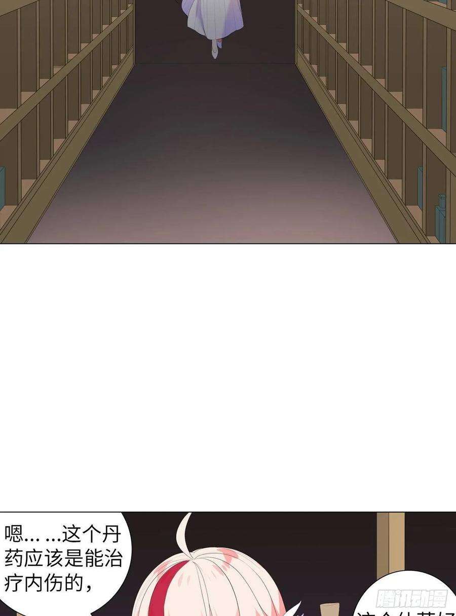 41.jpg
