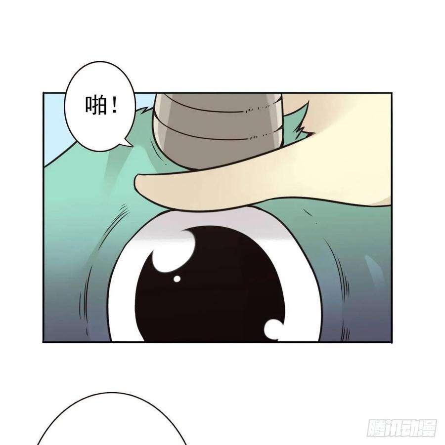 27.jpg