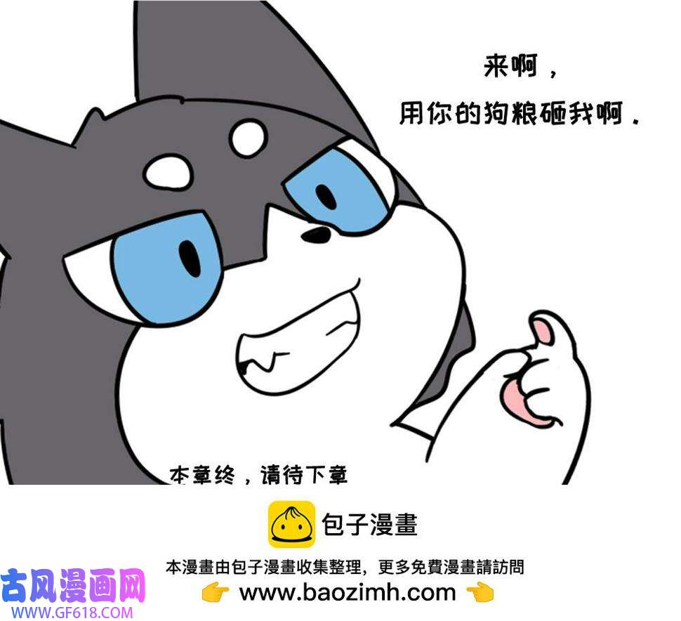 43.jpg