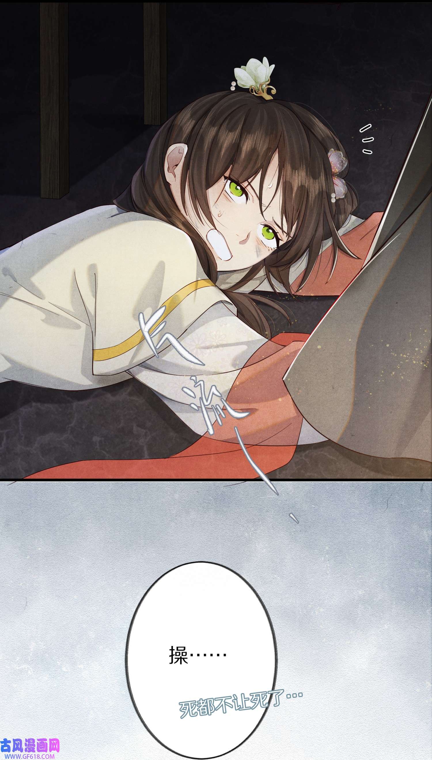 46.jpg