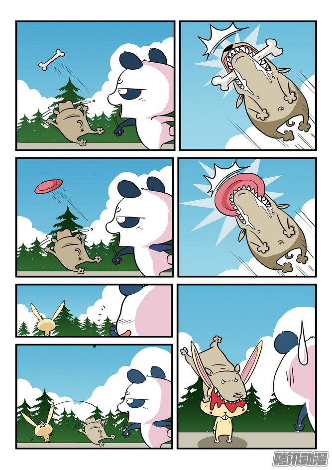 10.jpg