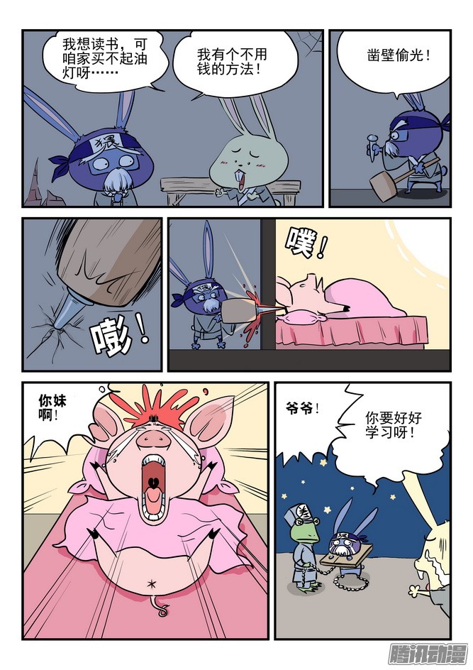 15.jpg