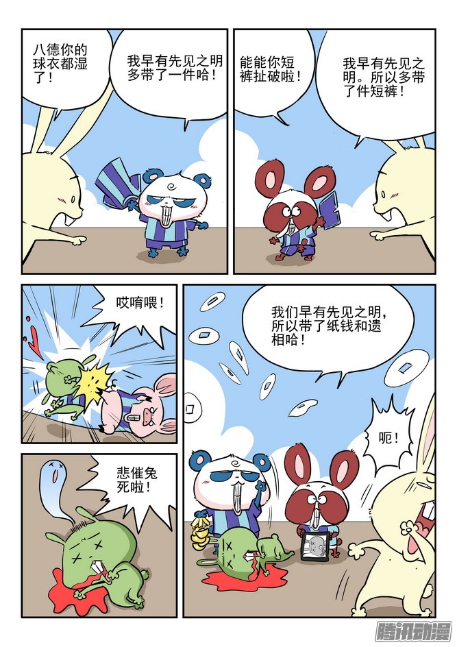13.jpg