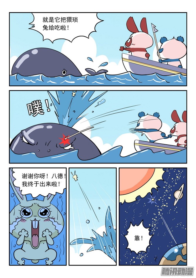 16.jpg