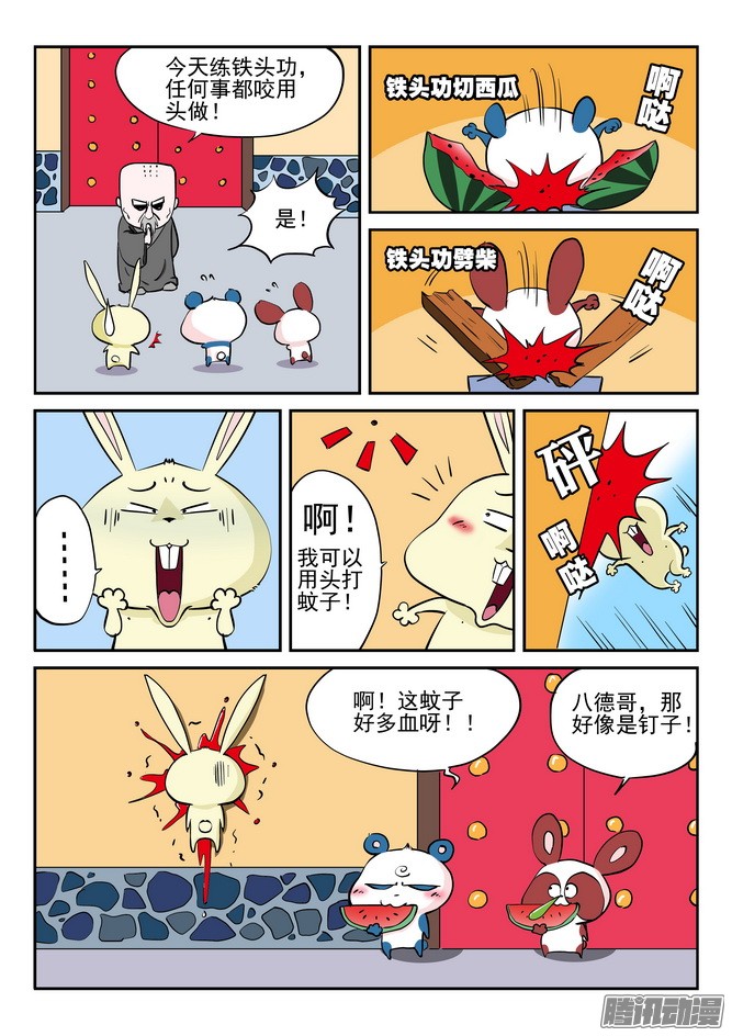 5.jpg