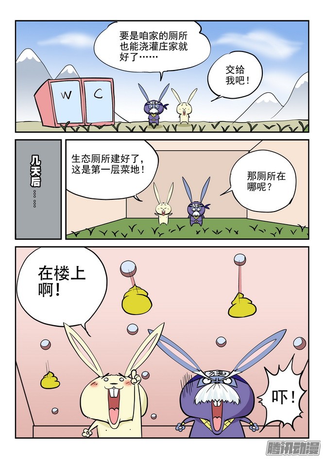 10.jpg