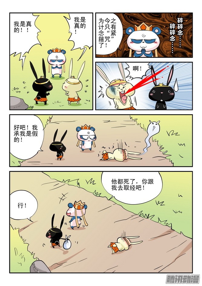 16.jpg
