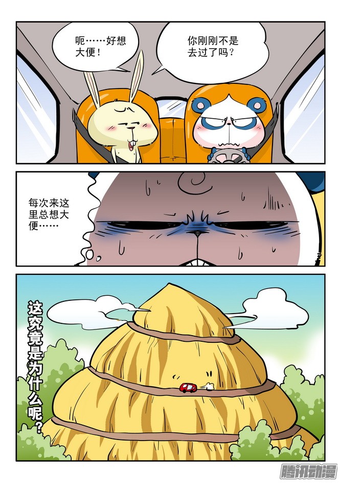 13.jpg
