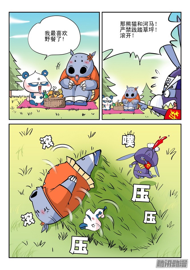 6.jpg
