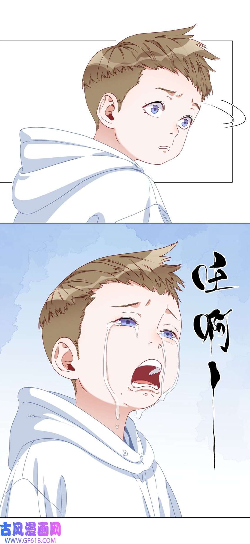 13.jpg