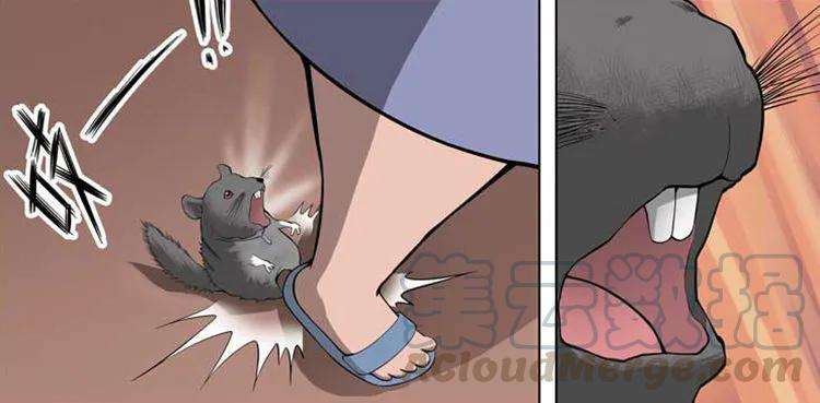 33.jpg