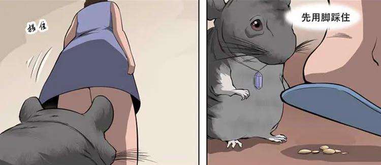32.jpg
