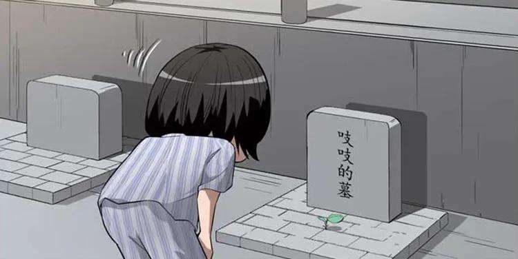 43.jpg