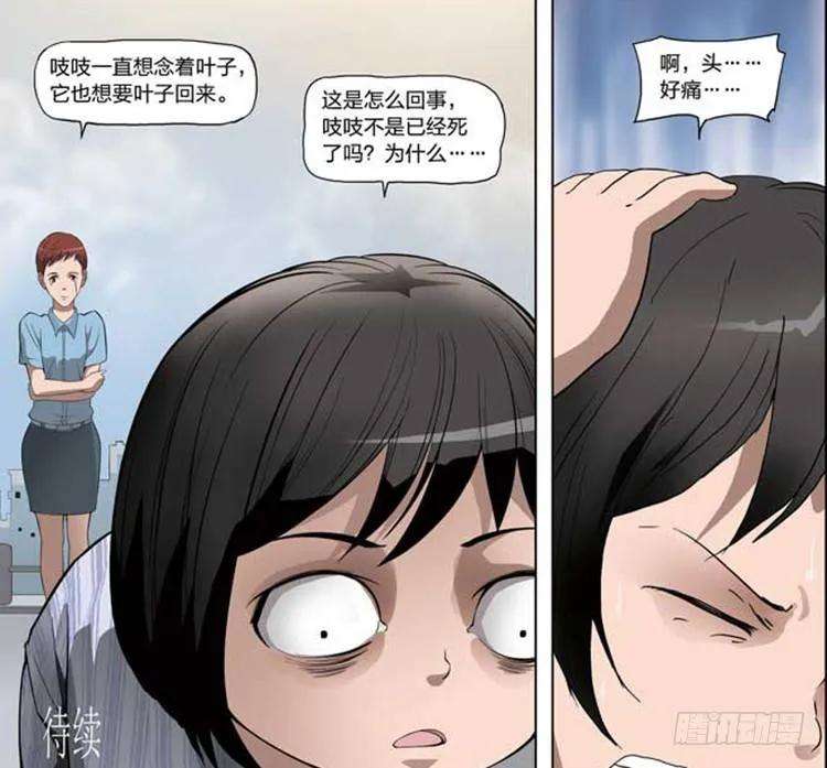 47.jpg
