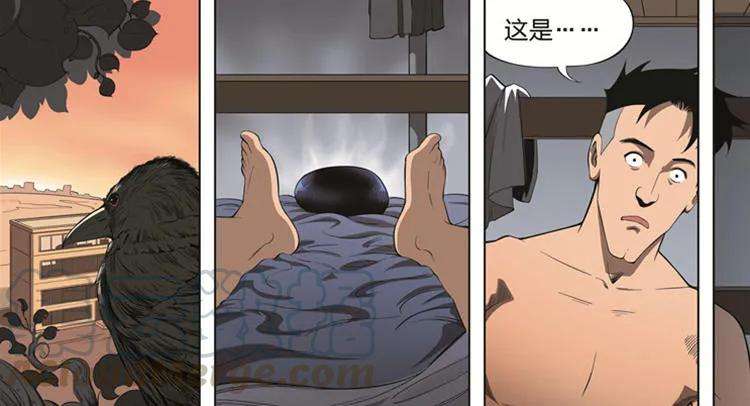49.jpg