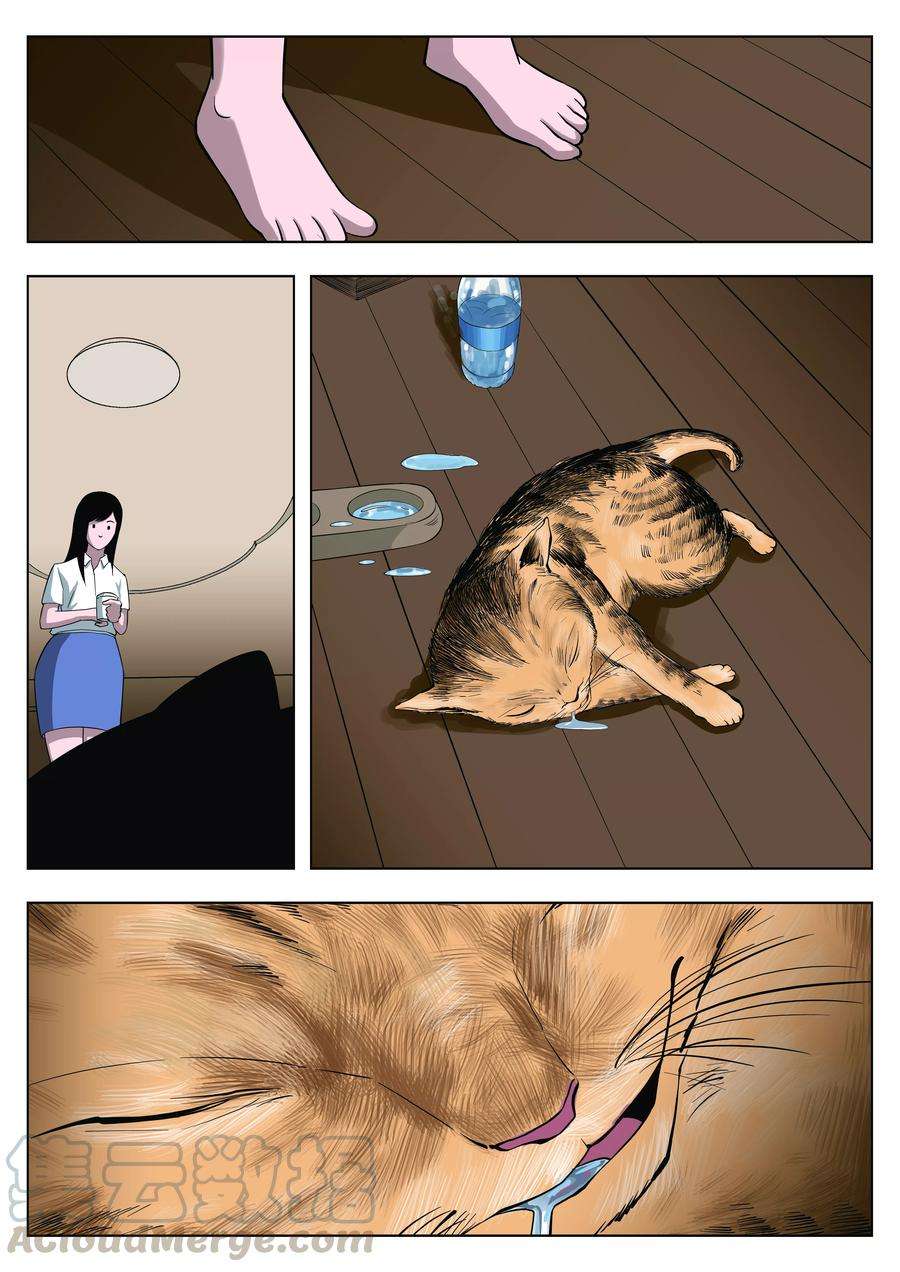 22.jpg