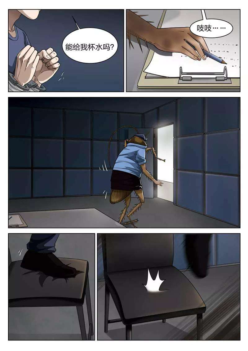 9.jpg