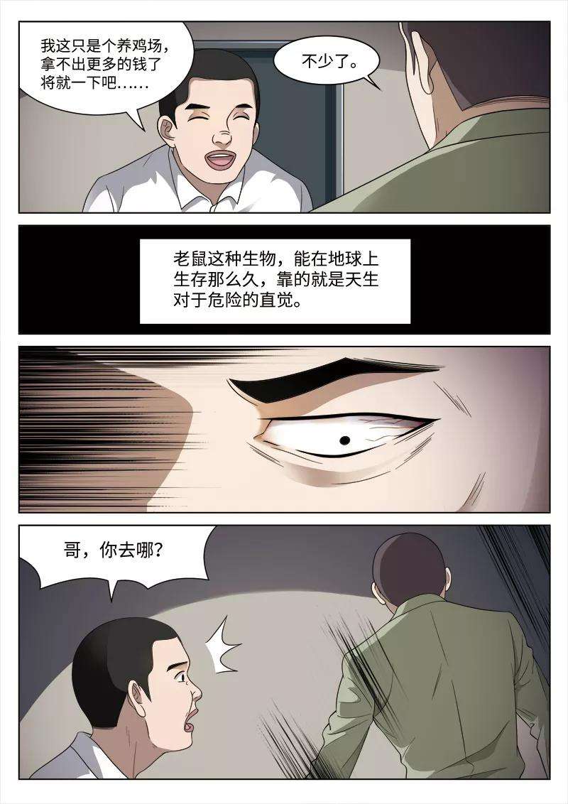 17.jpg