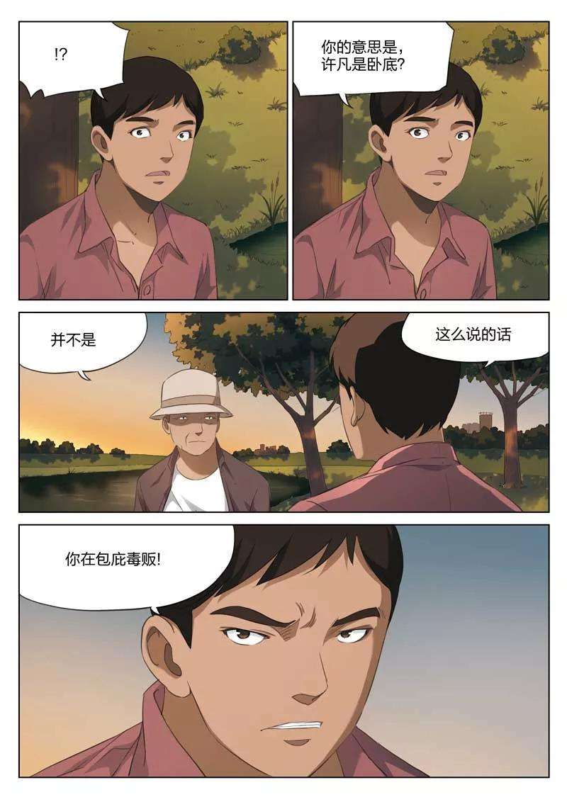 8.jpg