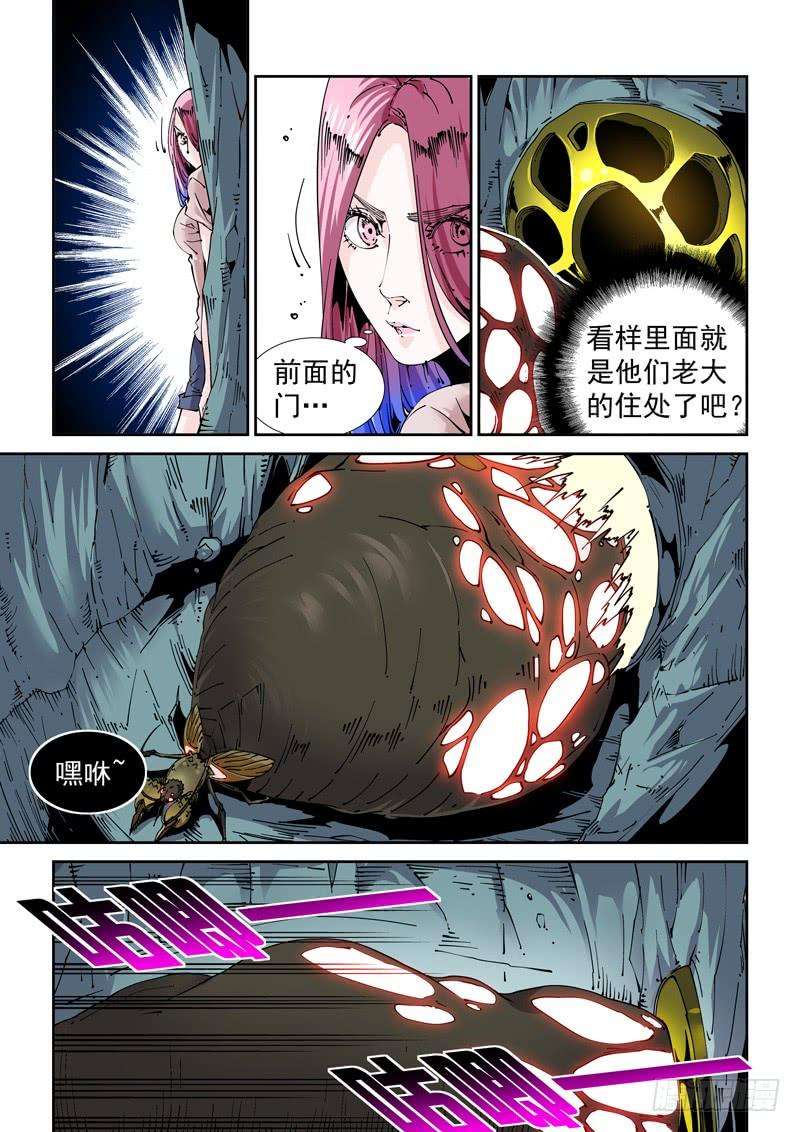 5.jpg