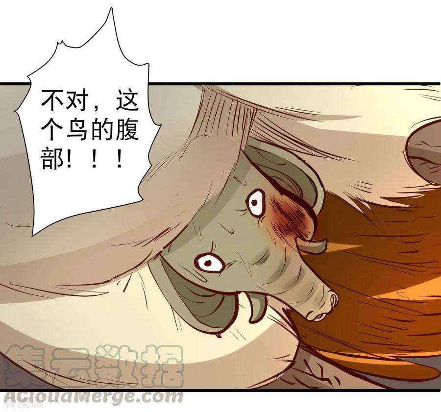 13.jpg