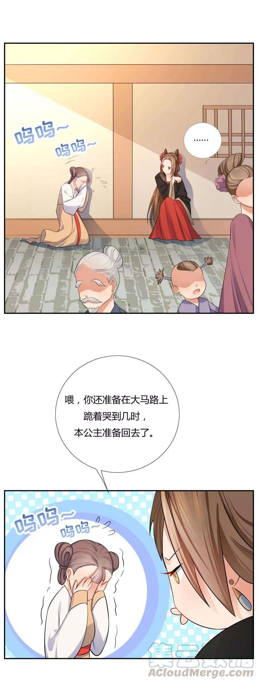 15.jpg