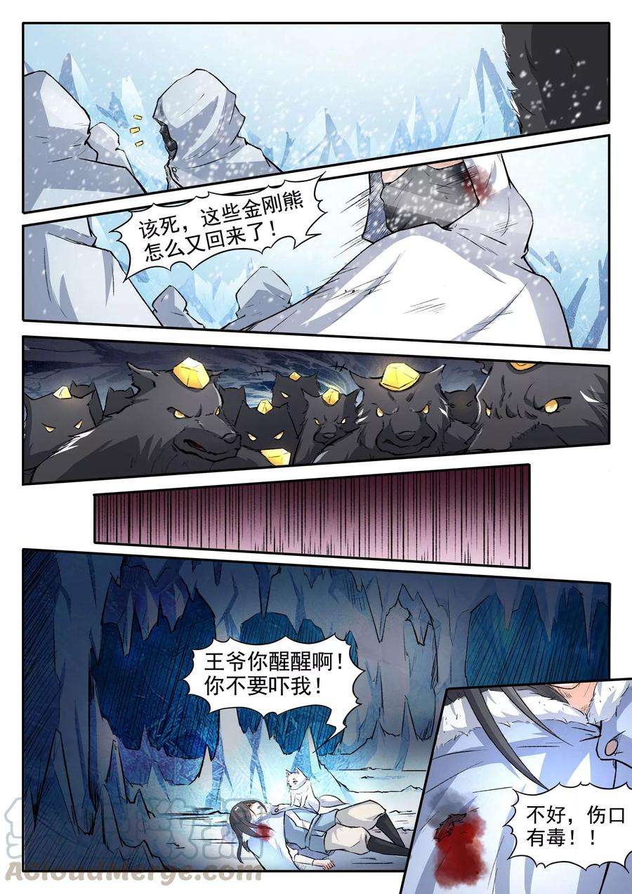5.jpg