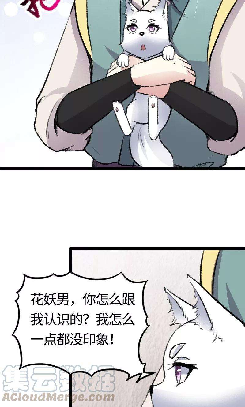 41.jpg