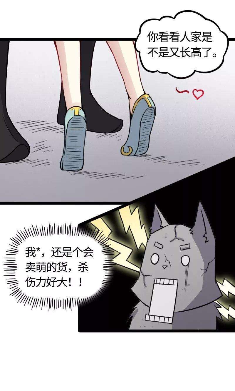 26.jpg