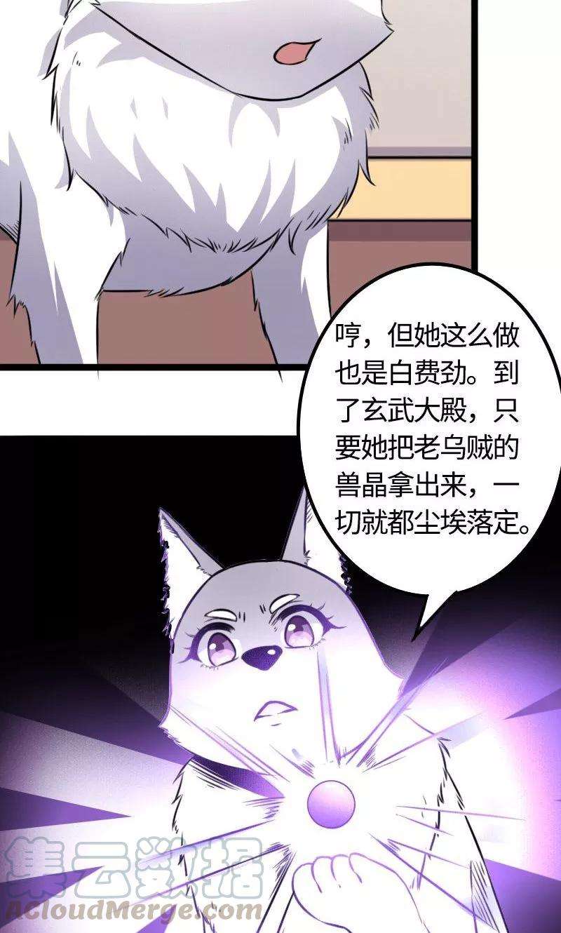 33.jpg