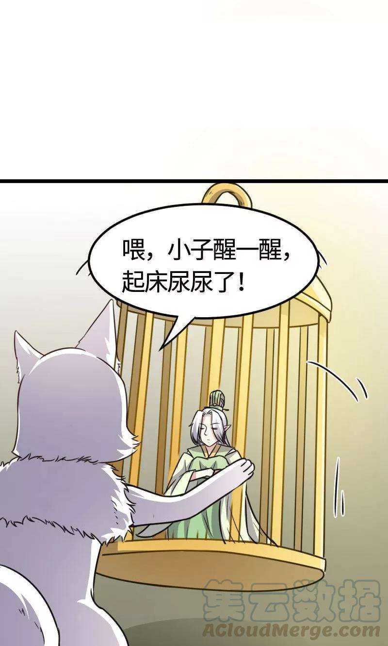 13.jpg
